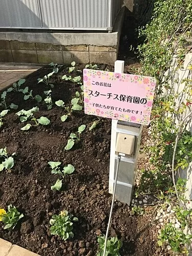 Mobile suta chisu 1