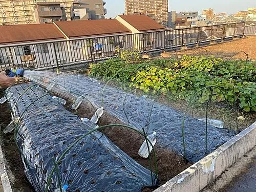 Mobile %e5%86%99%e7%9c%9f